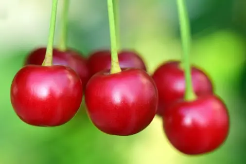 Cherry quality inspection app