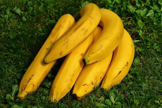 Banana packing app software