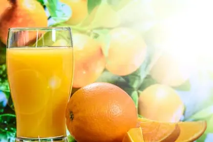 Fruit juice concentrate Packing App