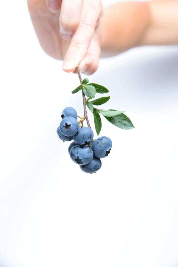 Fresh produce management software for packing fruit: