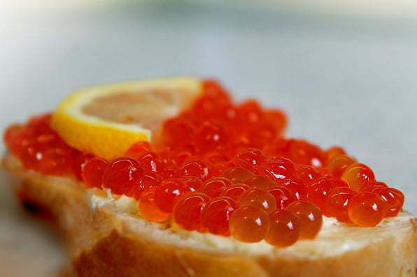 Seafood Packing App for exporting and value adding