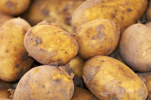 Potato inventory storage app