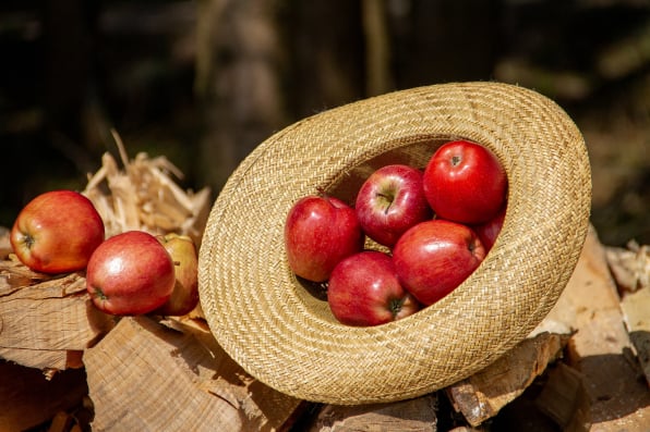 Apple Management Software Packing App for long term storage