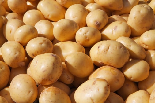 Potato inventory storage app