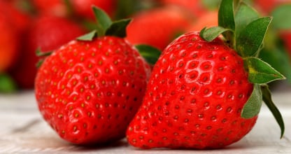 Strawberry packing app