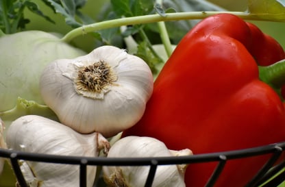 Garlic packing app