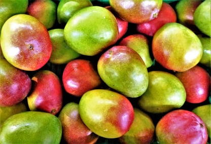 Mango packing app inventory
