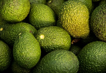 Avocado packing app