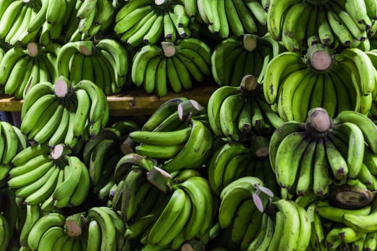 Banana packing app software