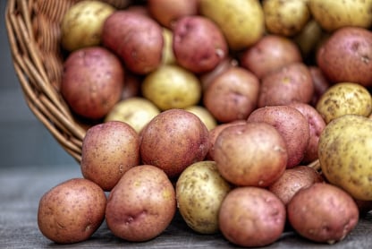 Potato packing app