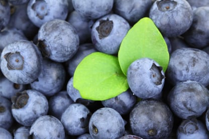 Berry packing app