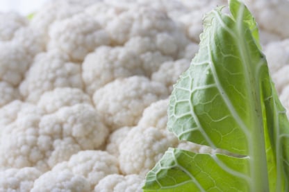 Cauliflower packing app