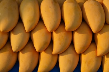 Mango packing app