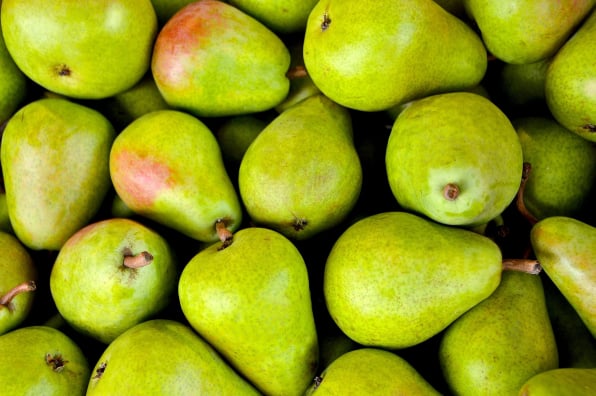 Fresh produce Packing App For Export and Import of Fruit