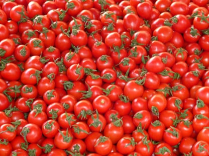 Tomato packing app