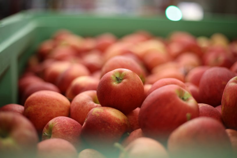MYOB Fresh Produce Packing