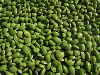 Bean packing app