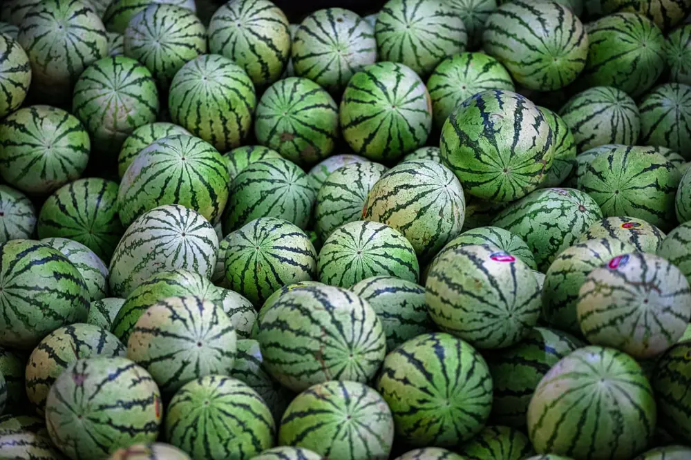 Sage fresh produce software
