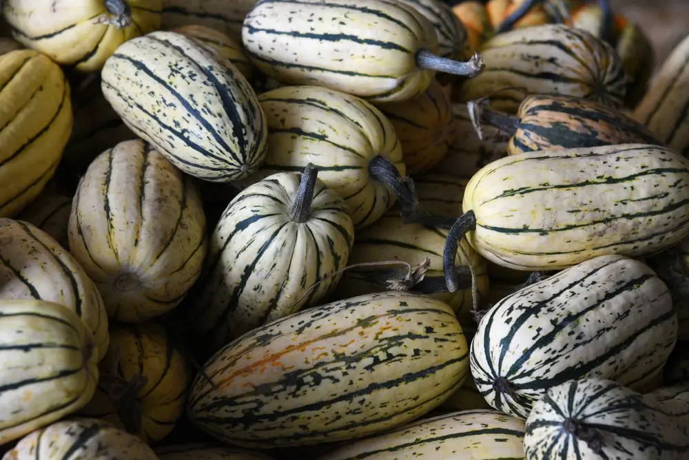 Sage fresh produce inventory traceability