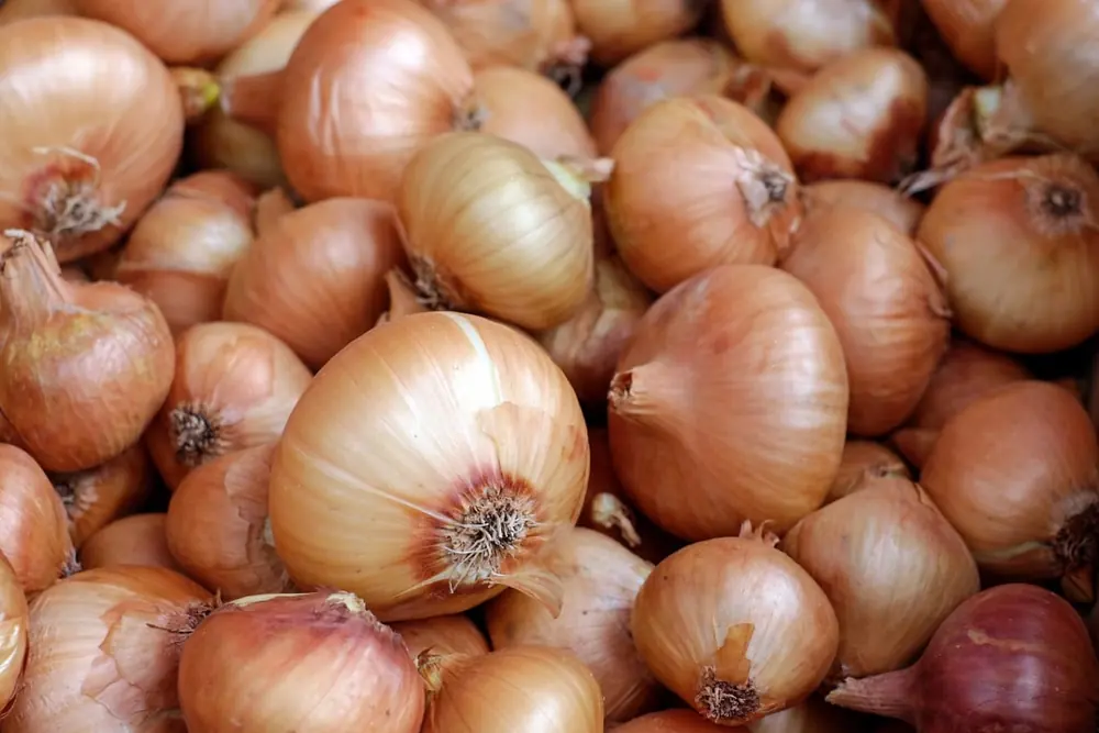 Xero fresh produce packing software