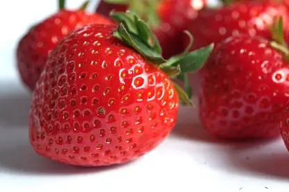 strawberry traceability supply chain