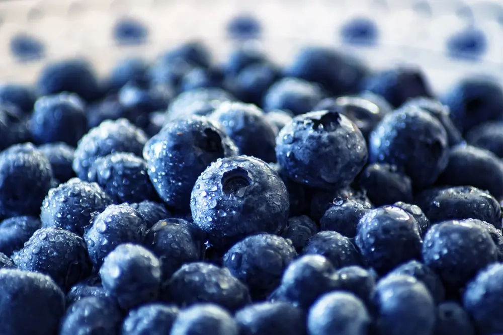 Sage fresh produce software