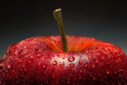 Fresh produce fruit vegetable quality control assurance
