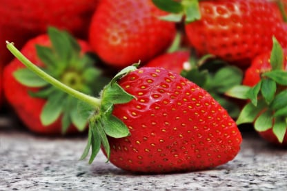 Fresh produce fruit vegetable quality control assurance