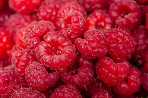 Fresh produce traceability labels