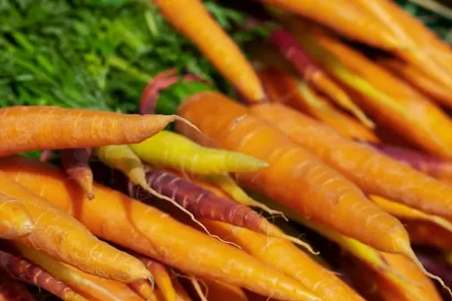 Carrot Fresh Produce Software