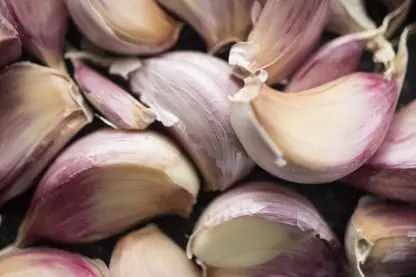Garlic Fresh Produce Software
