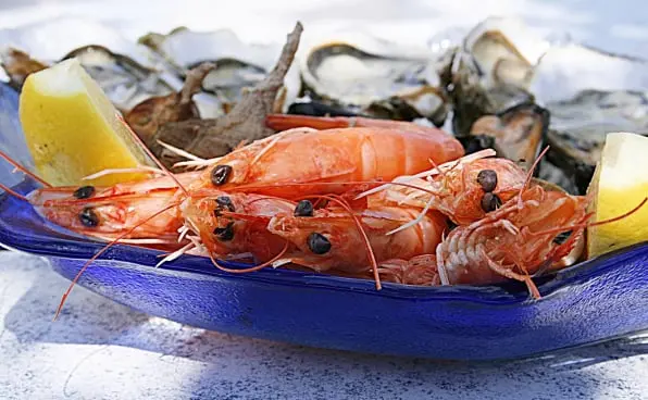 Seafood Fresh Produce Software for exporting and value adding