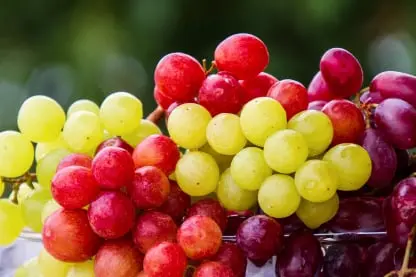 Grape Fresh Produce Software