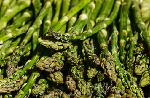 Asparagus traceability app