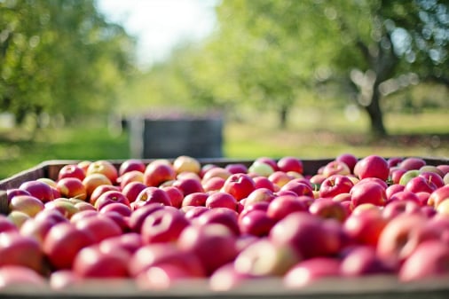 Farm traceability with Farmable harvest tags