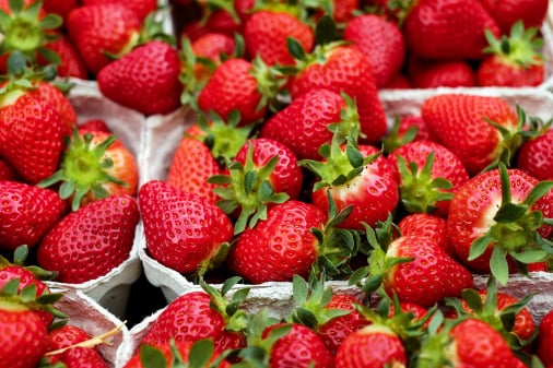 Strawberry traceability app