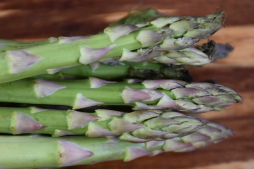 Asparagus traceability app