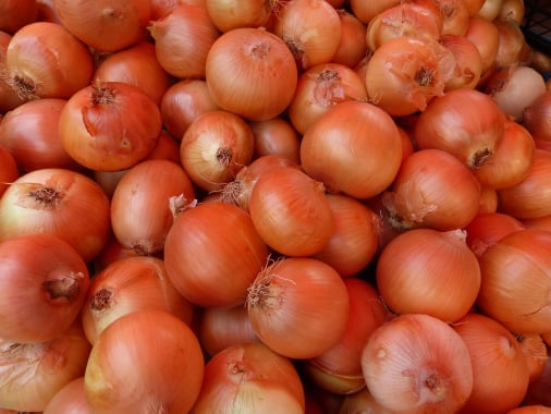 Onion traceability app