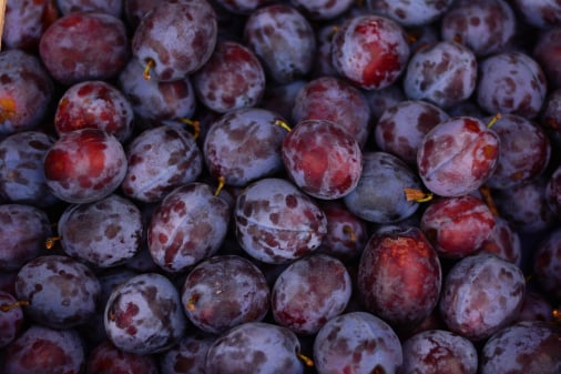 Fresh produce fruit barcode scanner app:
