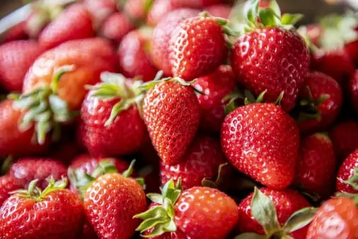 Strawberry traceability app