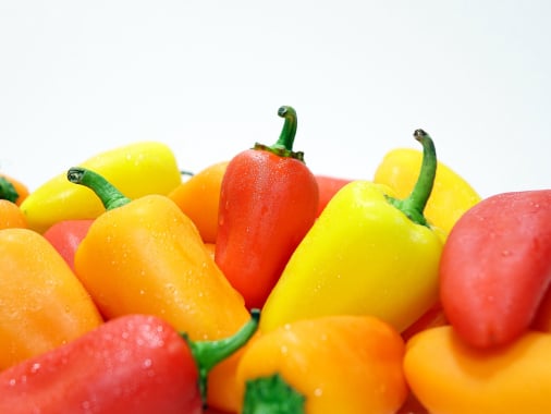 Pepper traceability app