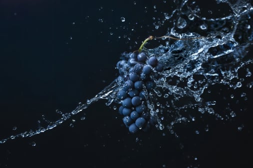 Table grape traceability app