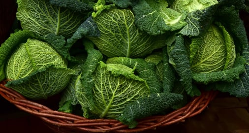 Leafy greens traceability app