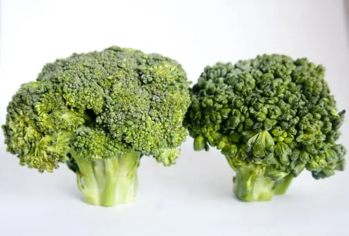 Broccoli traceability app