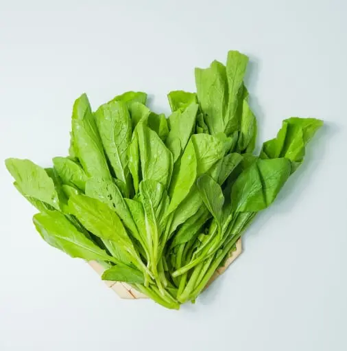 Leafy greens traceability app