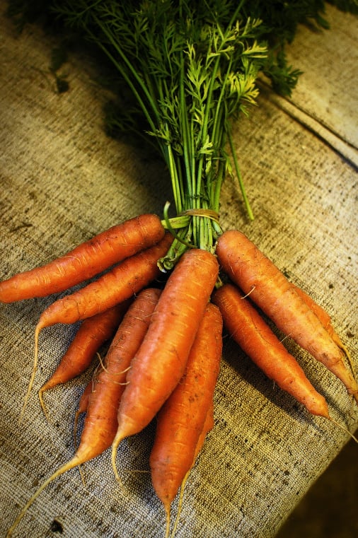 Carrot traceability app