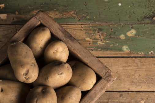 Potato packing traceability solution