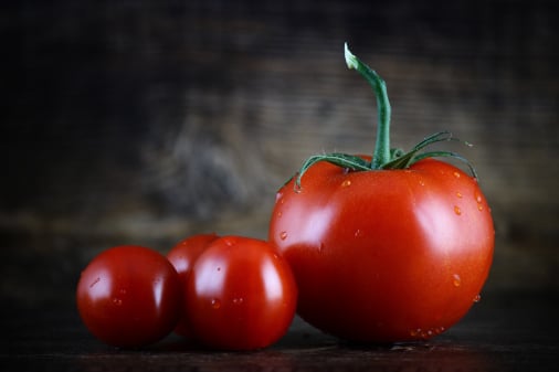 Tomato traceability software for maximum tomato food safety in tomato packhouses: tomato inventory traceability, sales, and QC. Perform tomato traceability recalls and audits for QMS, recall up and down the tomato traceability supply chain. A tomato traceability software solution to manage entire packing process.