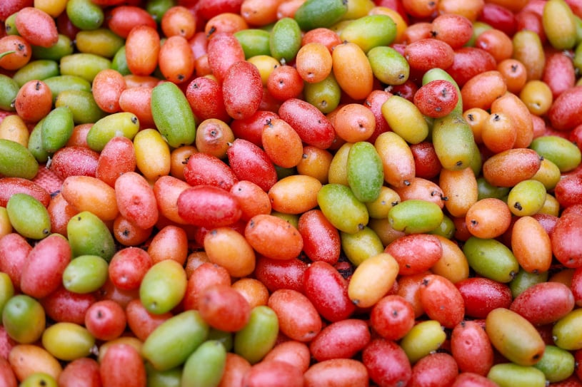 Fresh produce traceability software