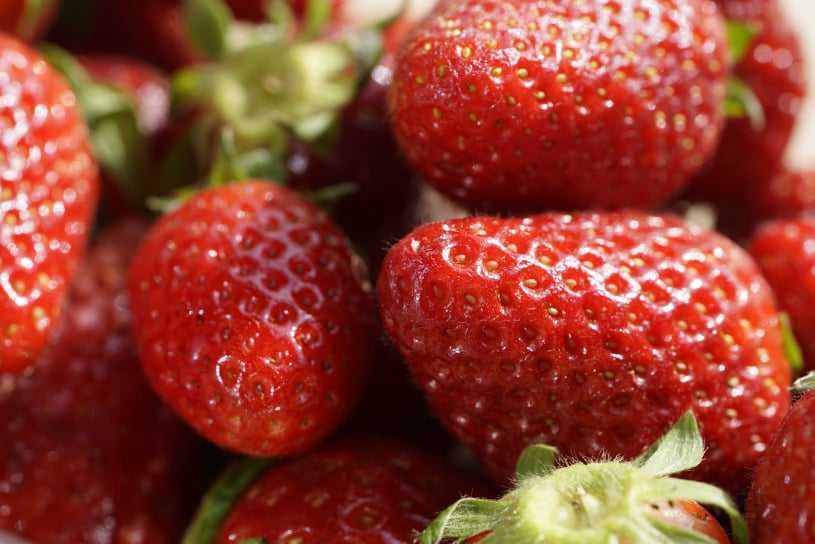 Fresh produce traceability software